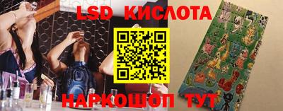 молекула духа Шахты
