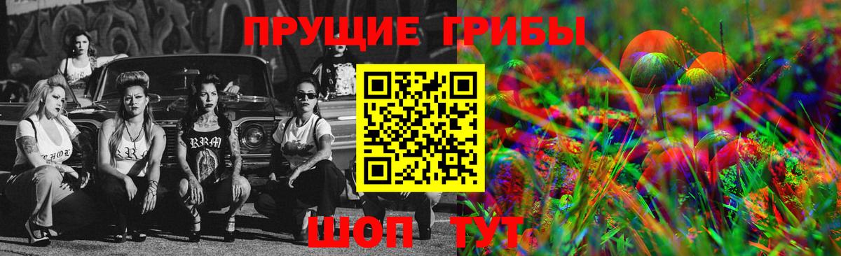 Борзя  Галлюциногенные грибы Psilocybine cubensis  Псилоцибиновые грибы MAGIC MUSHROOMS  Вход с VPN 
